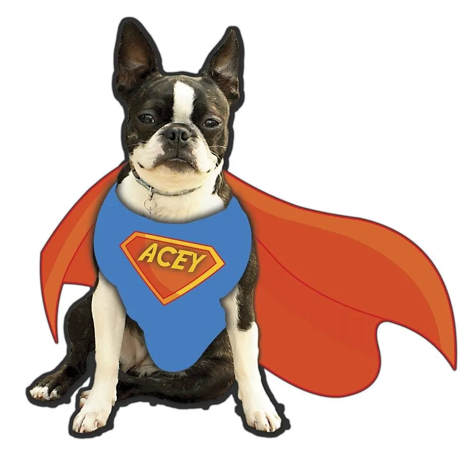 Slide of Doug's Service Company