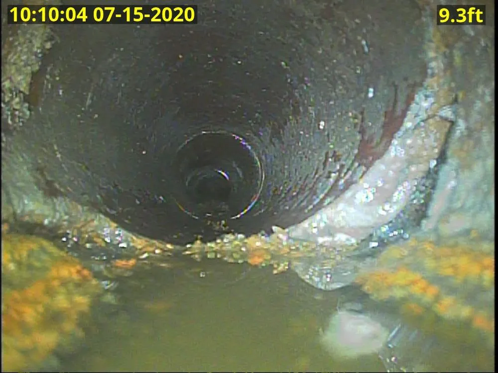 Slide of Down Low Services