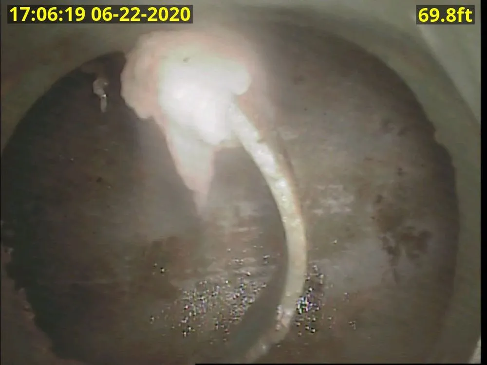 Slide of Down Low Services