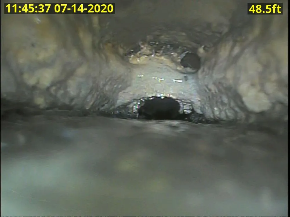 Slide of Down Low Services