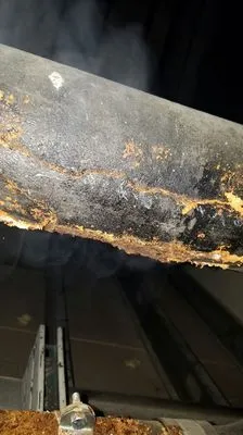 Down Low Services Logo