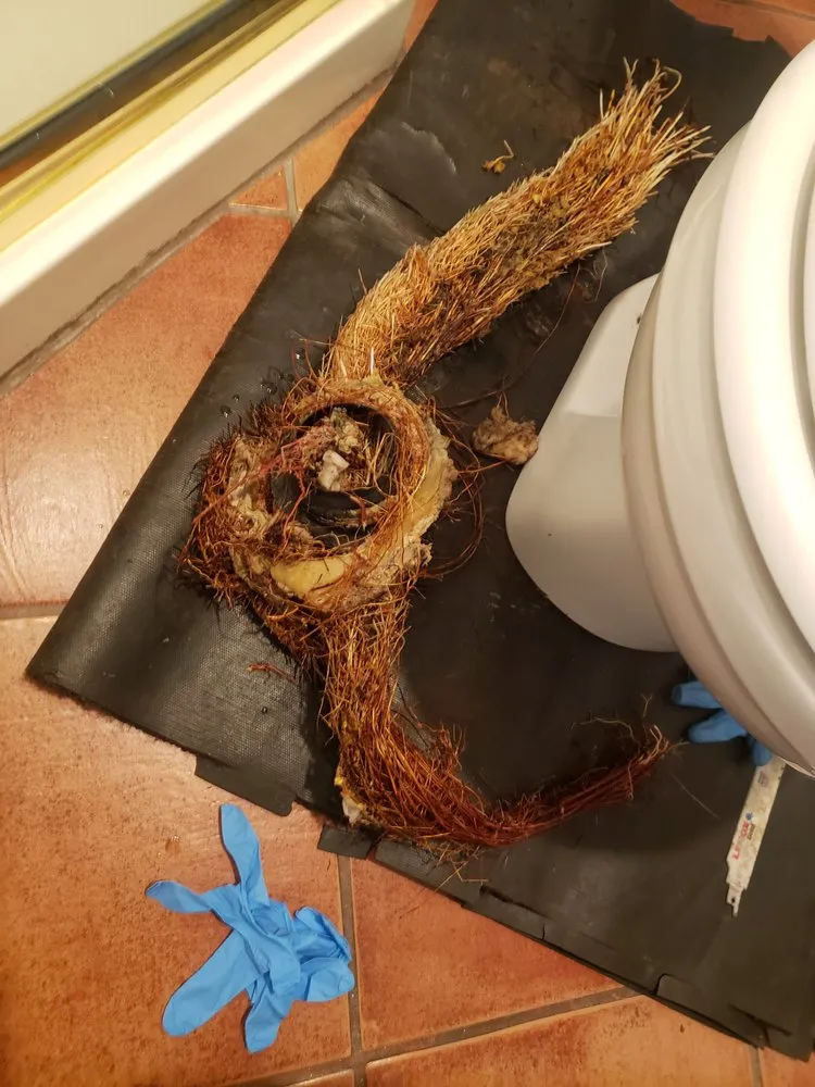 Slide of Down The Drain Plumbing & Rooter