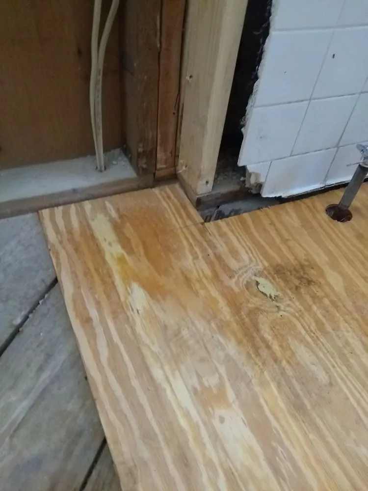 Emergency leak detection in Ochlocknee, GA by DP Homes Service Repairs