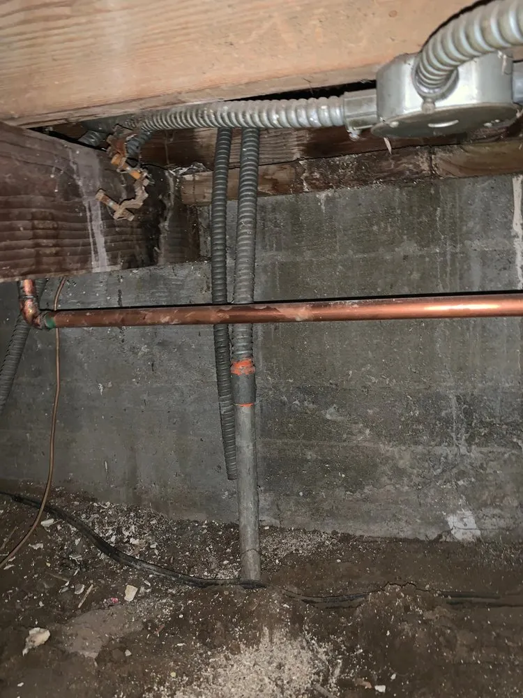 Slide of D&P Leak Detection