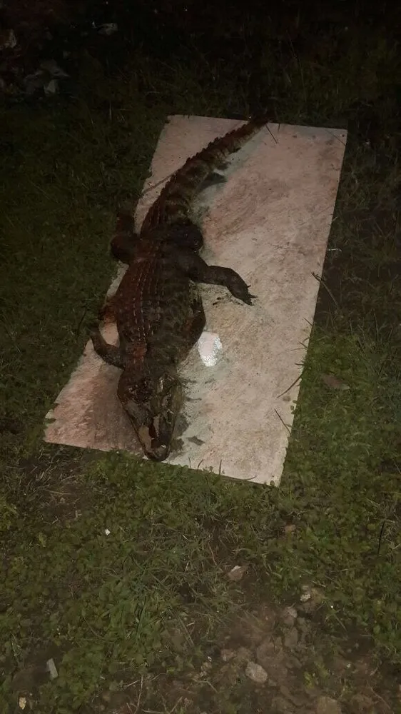 Slide of Dps Plumbing Services