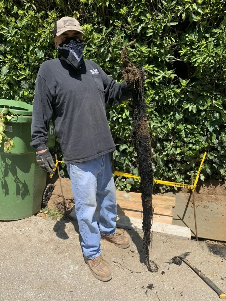 Slide of Dr Drain Rooter Service