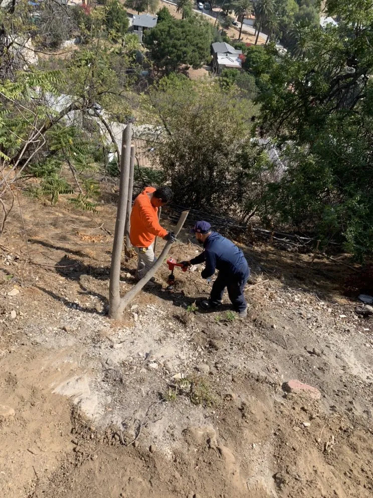 Professional drain cleaning experts serving Hollywood, CA - Dr Drain Rooter Service