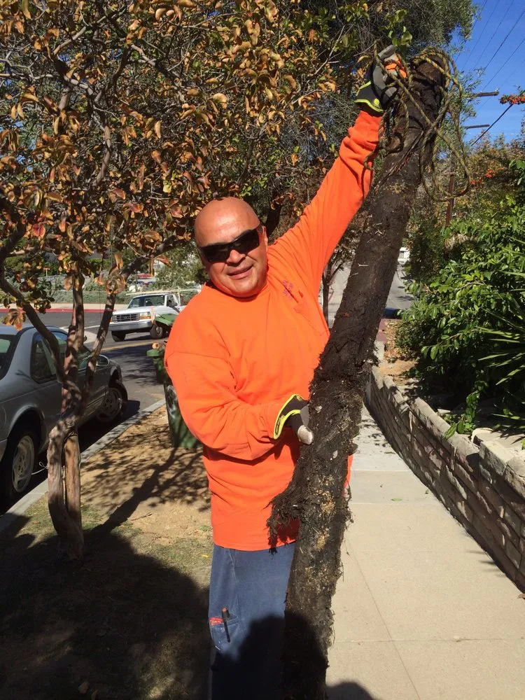 Top-rated pipe repair service in Hollywood, CA - Dr Drain Rooter Service