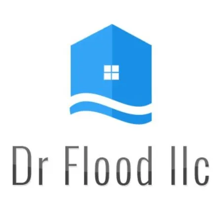 Dr Flood Logo