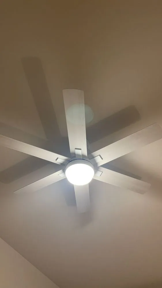 Slide of Dr. Odd Jobs At The Beach