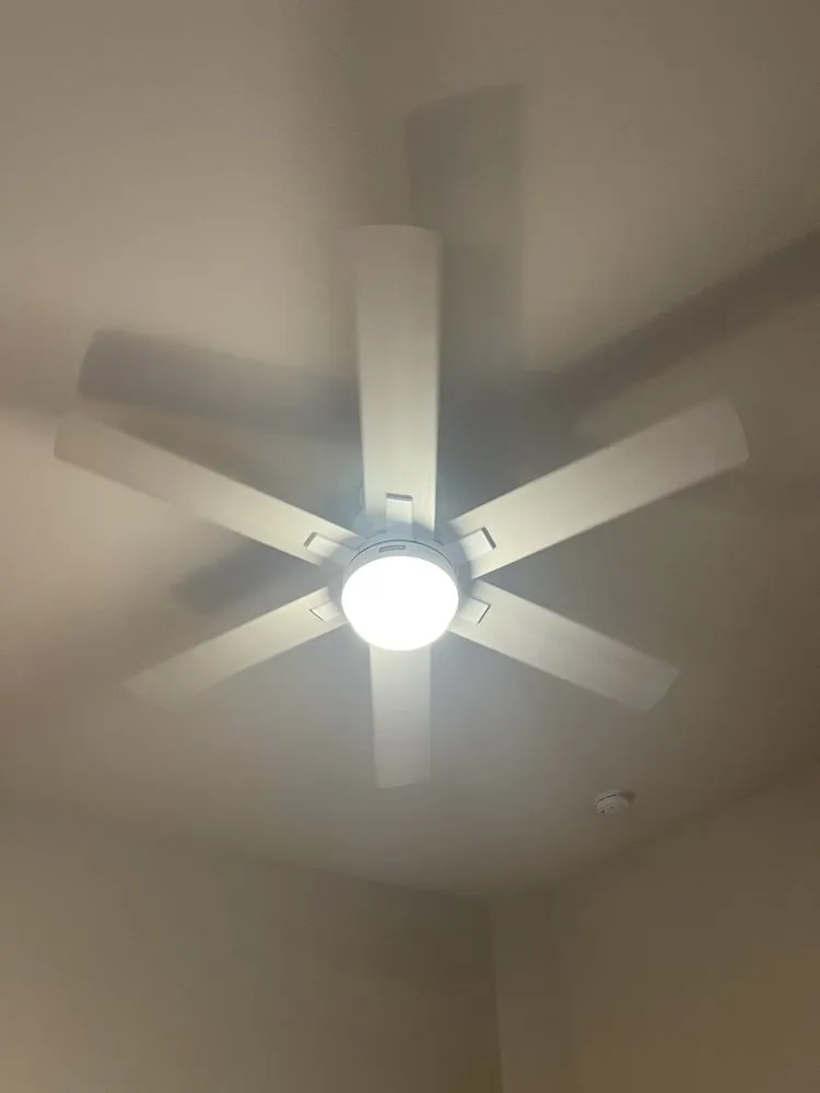 Slide of Dr. Odd Jobs At The Beach