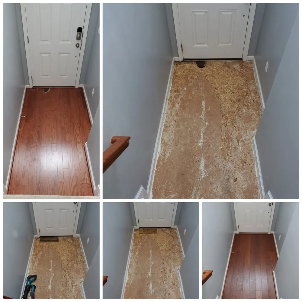 Slide of Dr. Odd Jobs At The Beach