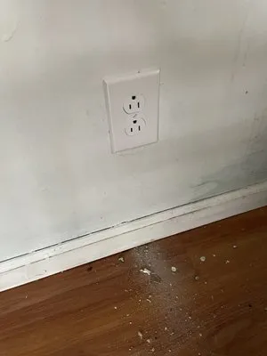 Dr P House Physician Logo