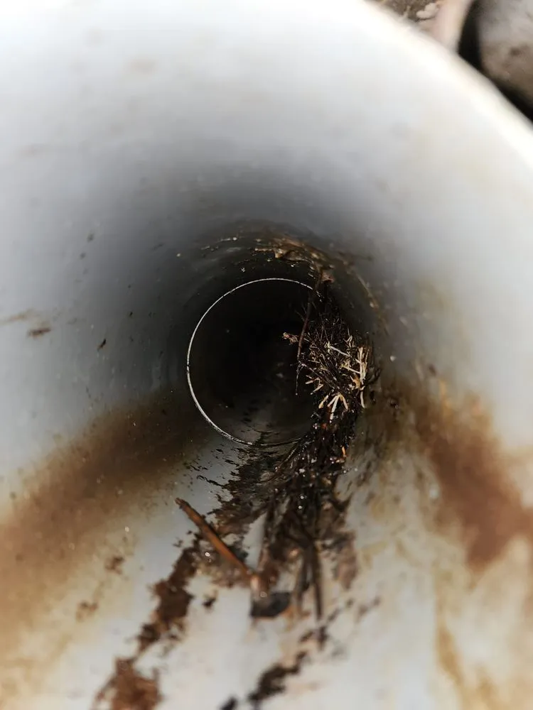 Slide of Dr Rooter Drain and Plumbing