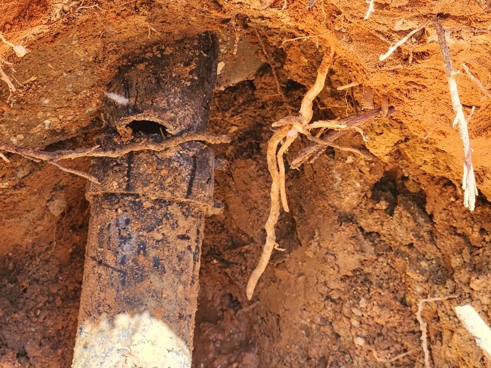 Slide of Dr Rooter Drain and Plumbing