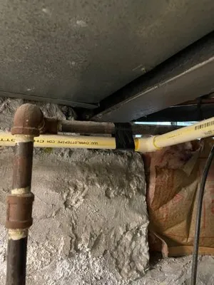 Dragon Plumbing Logo