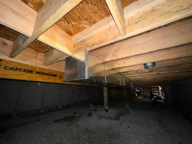 Slide of Dragonfly Mechanical