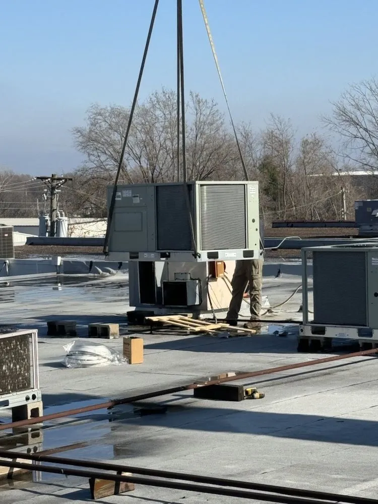 Slide of Dragonfly Mechanical