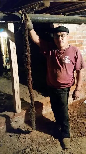 Reliable plumbing repair for homes in Burlington, MA by Drain & Heating Solutions