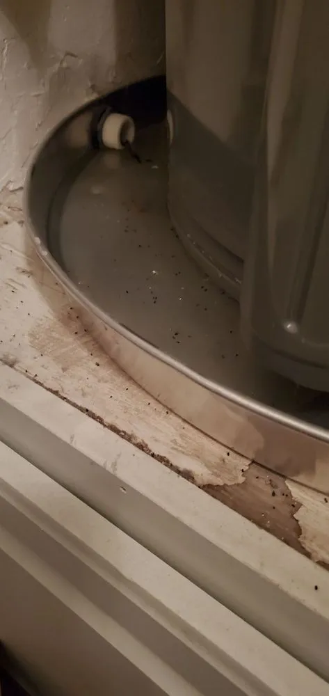 Slide of Drain & Plumbing Pros