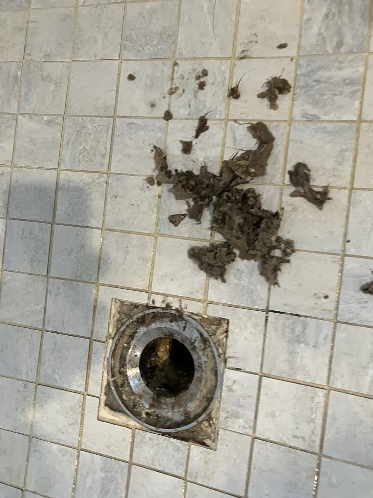 Slide of Drain-A-Max