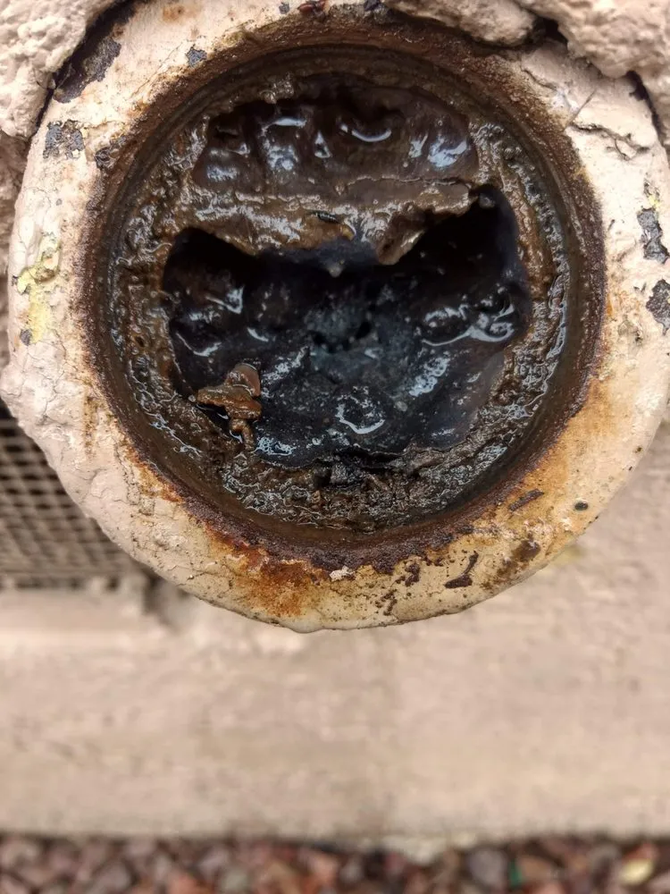 Slide of Drain All Rooter