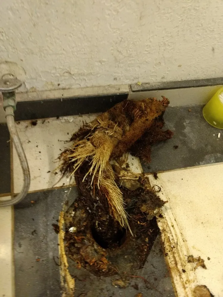 Slide of Drain All Rooter