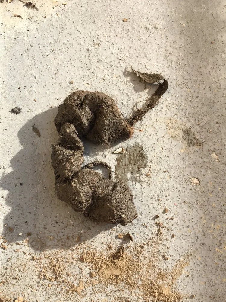 Slide of Drain Assist