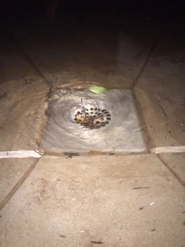 Slide of Drain Away Sewer Service