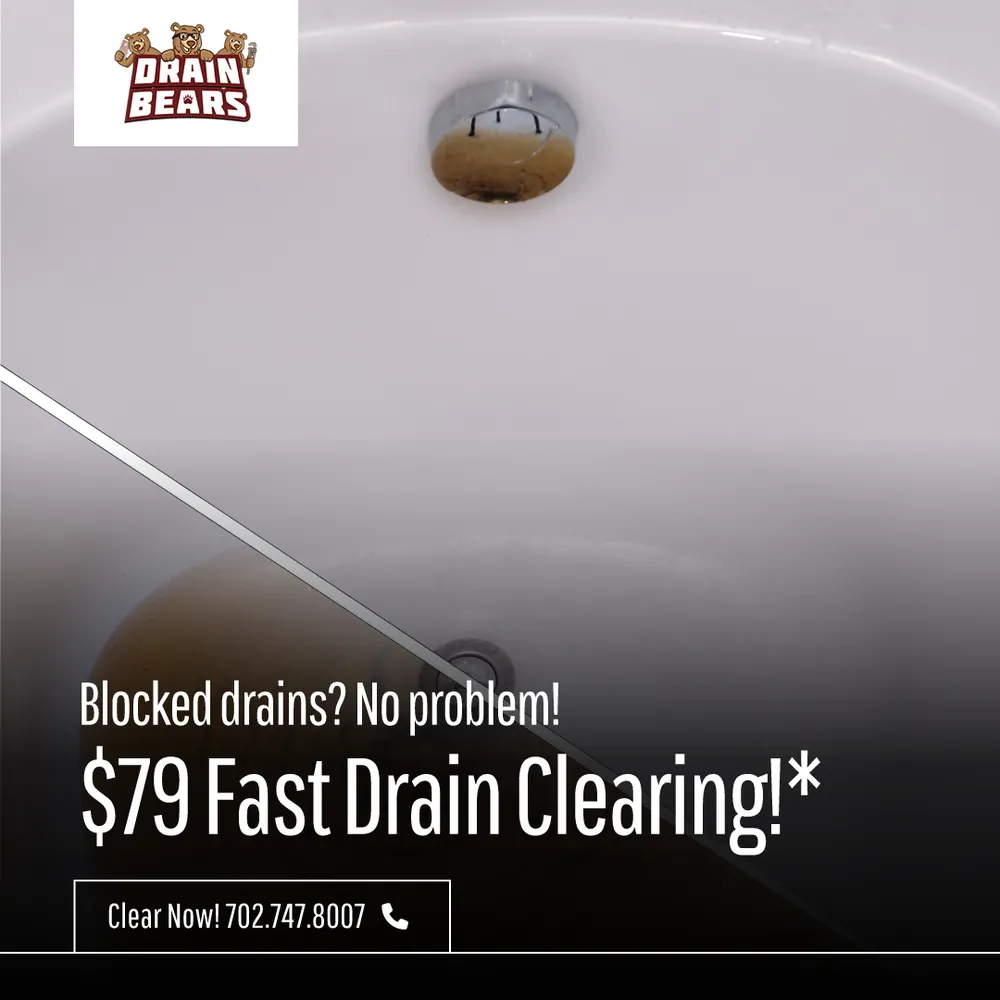 Slide of Drain Bears