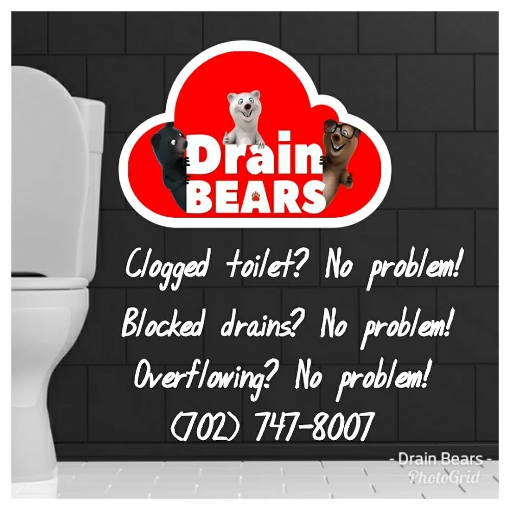 Slide of Drain Bears