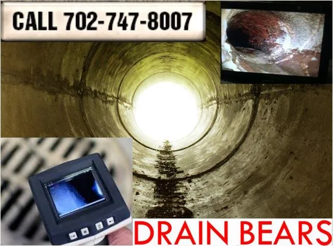Slide of Drain Bears