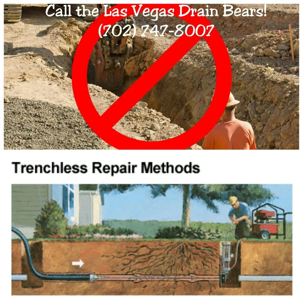 Slide of Drain Bears
