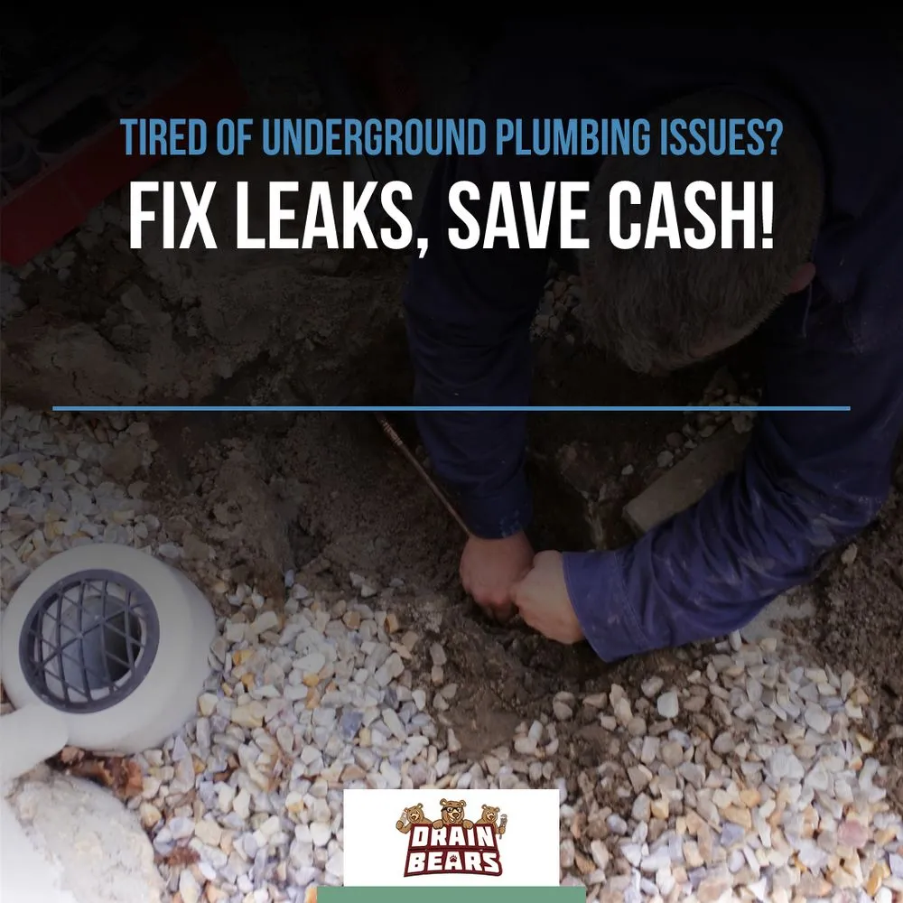 Slide of Drain Bears