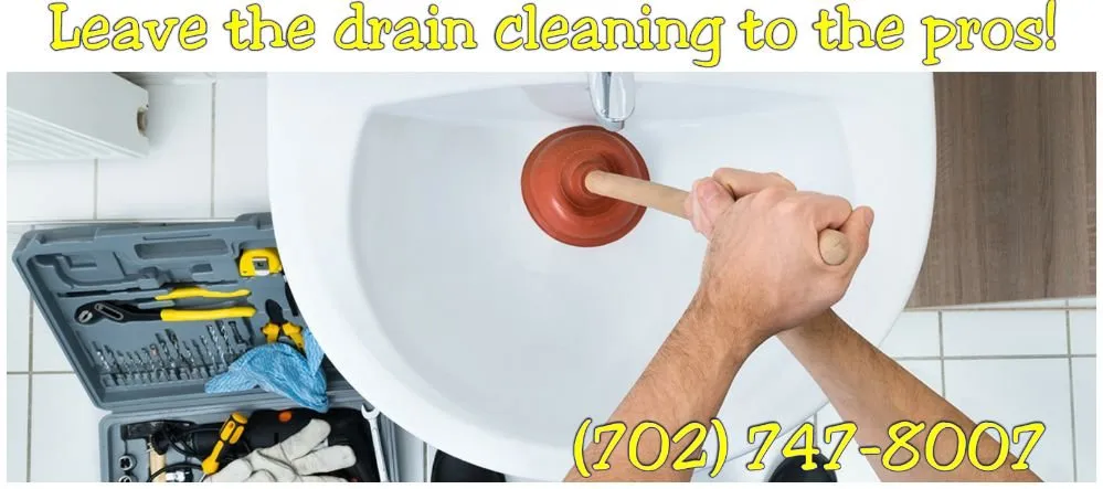 Slide of Drain Bears