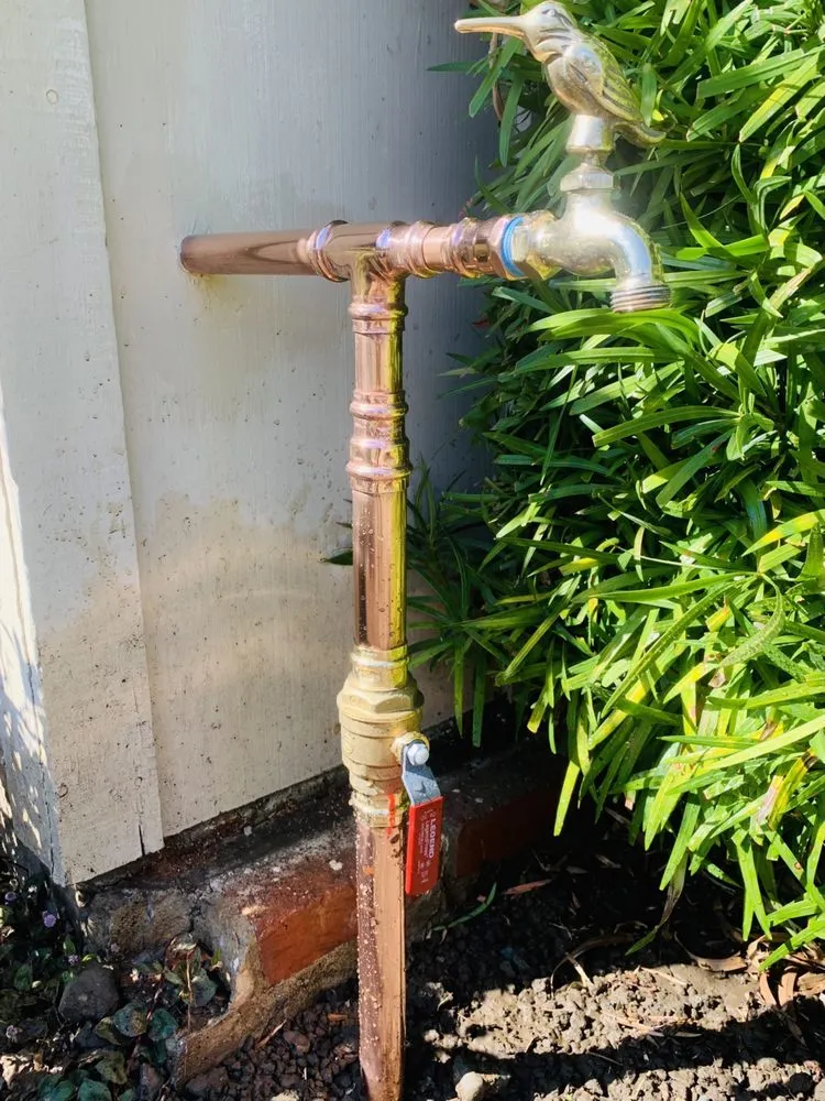 Slide of Drain Brains Plumbing