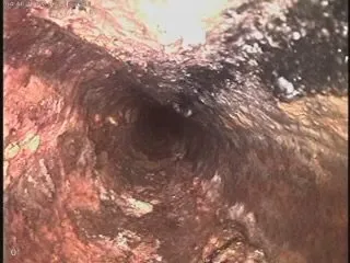 Slide of Drain Bros Plumbing & Rooter