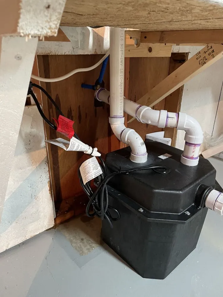 Top-rated leak detection in Stoutsville, OH by Drain Bros