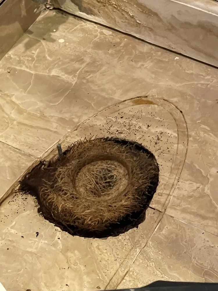 Trusted pipe repair in Santa Clarita, CA by Drain Brothers Plumbing