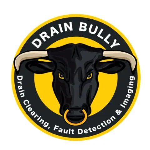 Slide of Drain Bully