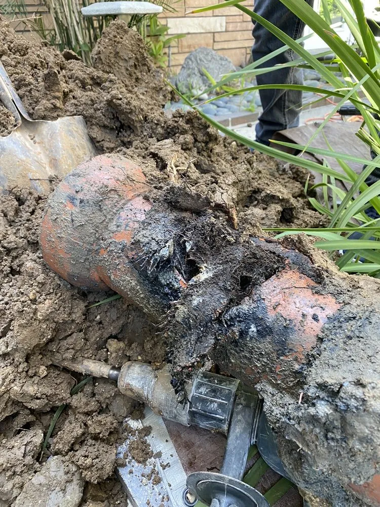 Slide of Drain Buster Rooter SBC