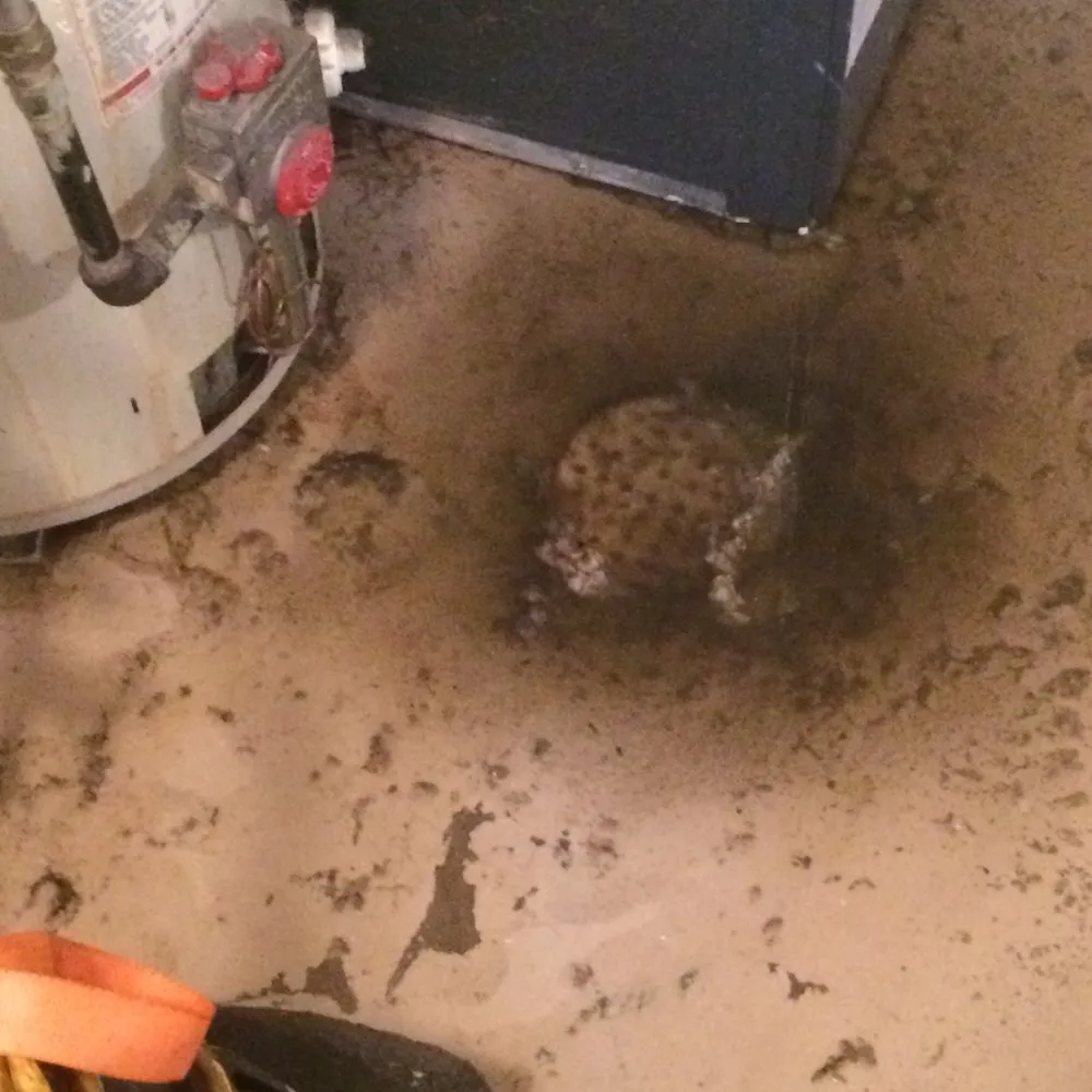 Slide of Drain Busters