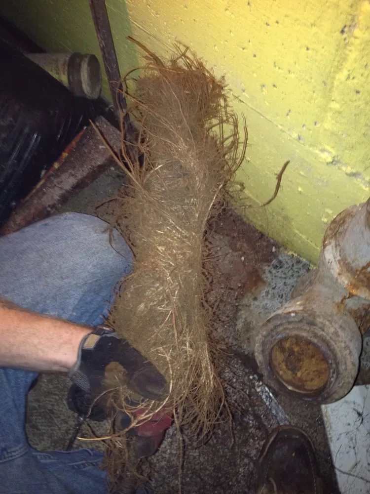 Affordable emergency plumbing in Forest Hill, MD by Drain Chief