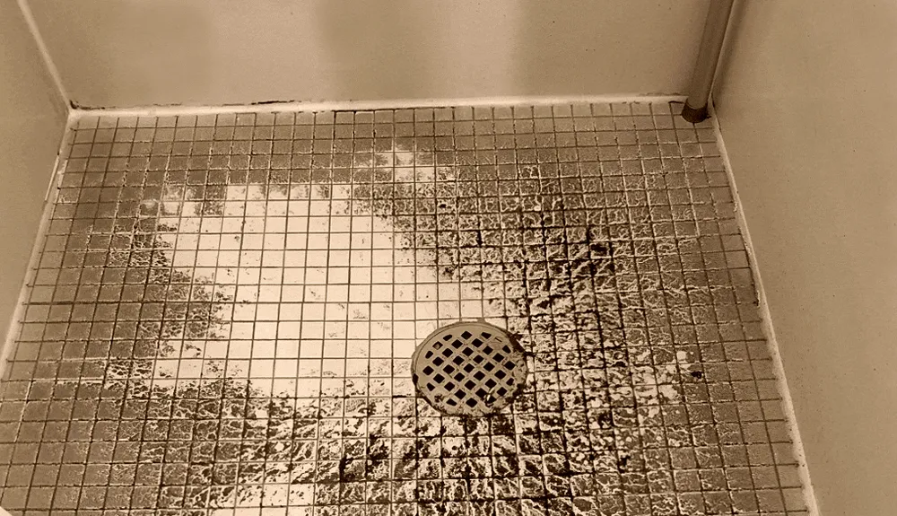 Slide of Drain Cleaning