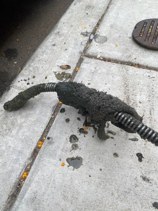 Slide of Drain Cleaning