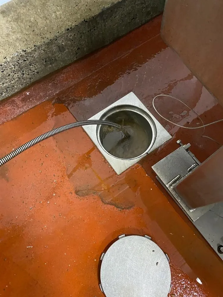 Slide of Drain Cleaning