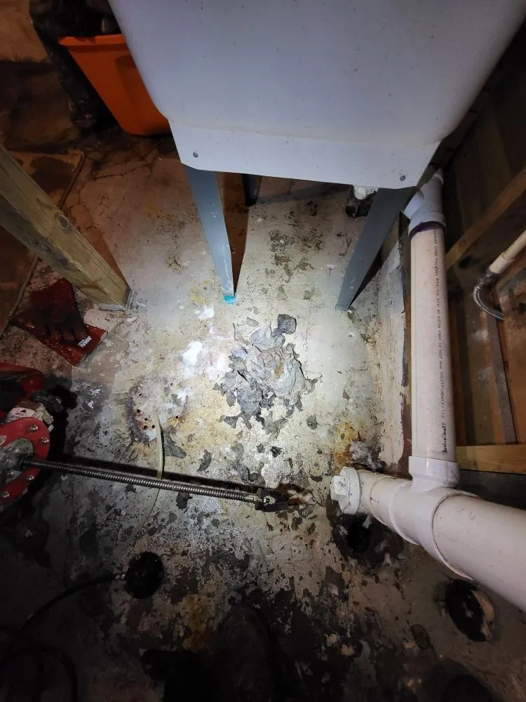 Slide of Drain Cleaning Services