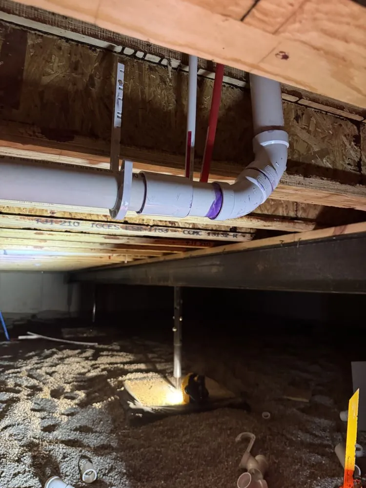 Slide of Drain Delights