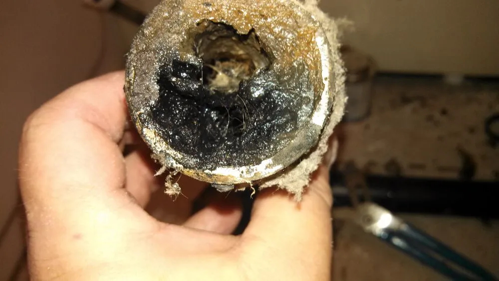 Slide of Drain Detectives