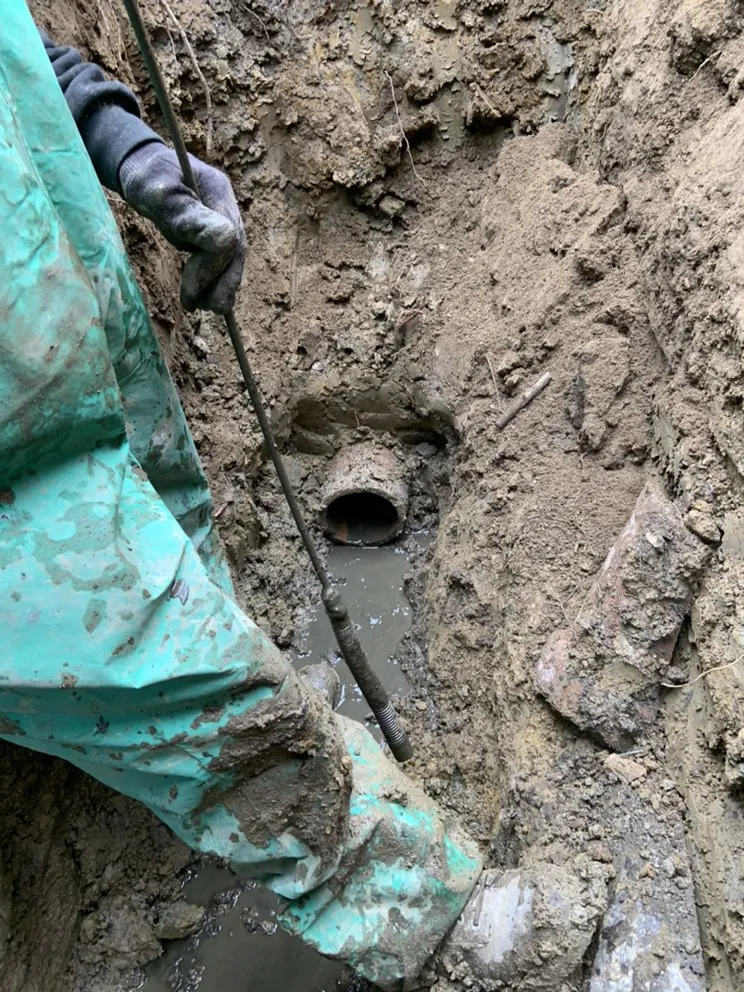 Slide of Drain Doctor